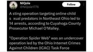 The sting operation was meant to find online child predators, (Image by NiQole/X)
